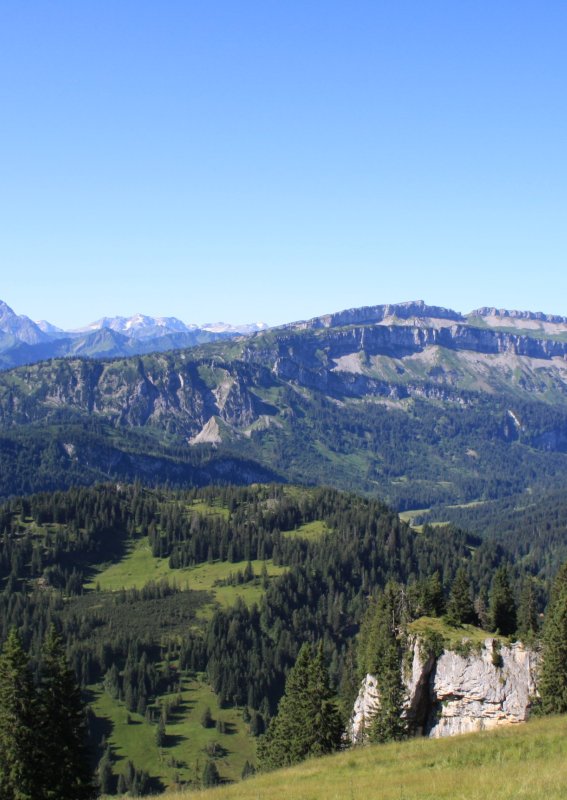 Bergblick Wandergebiet Grasgehren