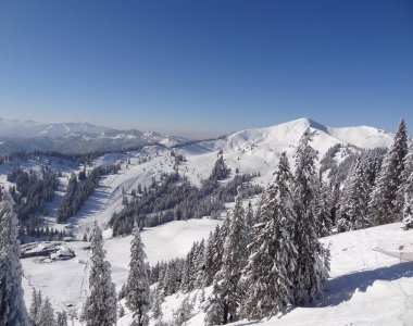 Verschneite Pisten und Winterwald im Skigebiet Grasgehren am Riedbergpass, nur wenige Minuten von Obermaiselstein-Ried – Bergheimat Ferienwohnungen in Obermaiselstein-Ried im Allgäu.
