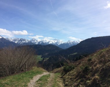 Wanderweg durch Wiesen und Wald mit Blick auf die schneebedeckten Gipfel der Allgäuer Alpen – Bergheimat Ferienwohnungen in Obermaiselstein-Ried im Allgäu.