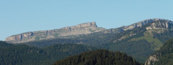 P1010512