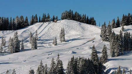 Berghütte Grasgehren im Wandergebiet Skigebiet am Riedbergpass (5)
