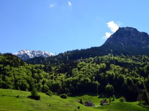 Blick auf das Rubihorn