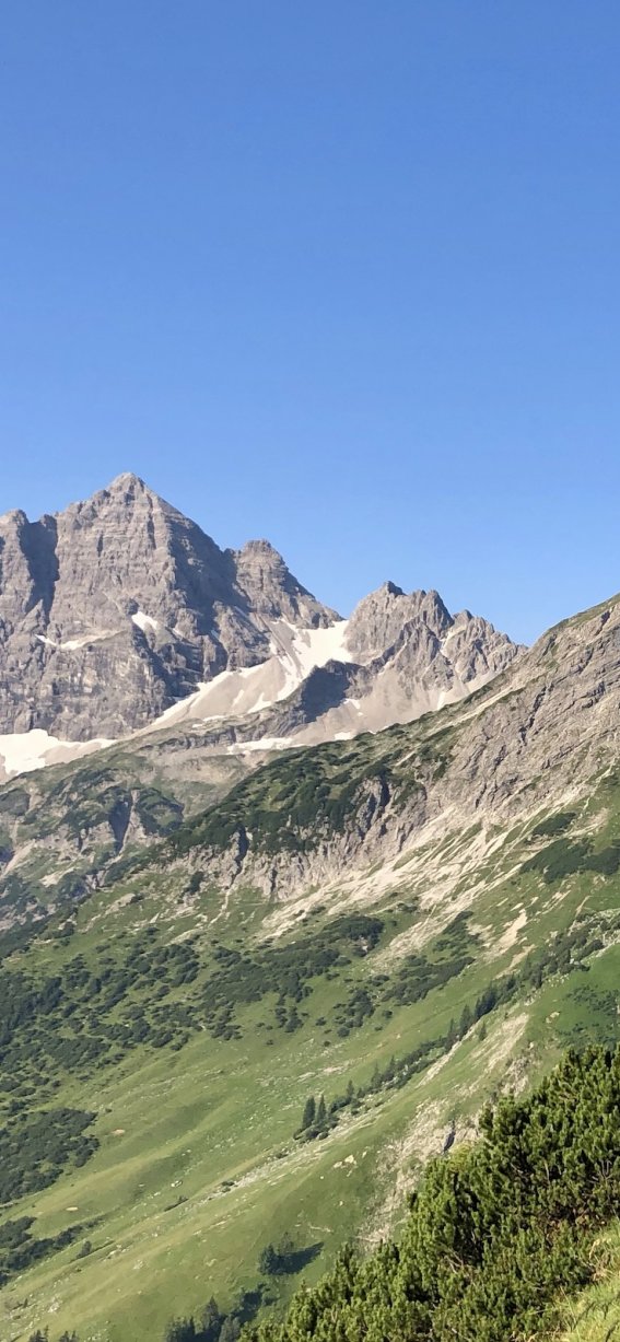 Hochvogel Blick
