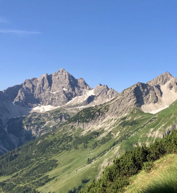 Hochvogel Blick