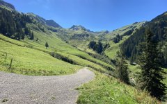 Blick von Alpe Plättele