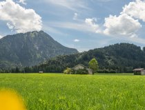 20.07.20 Freibergsee