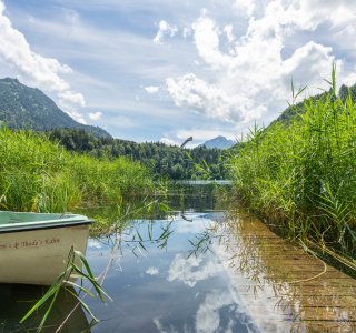 20.07.20 Freibergsee