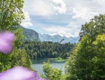 20.07.20 Freibergsee