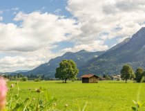 26.08.20 Jauchen Karatsbichl-1-016