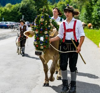 2017-09-11-alpe-schlappold-005-3000