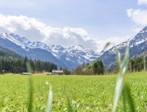 Frühling in Einödsbach 