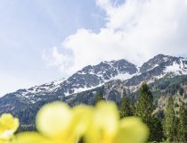 Frühling in Einödsbach 