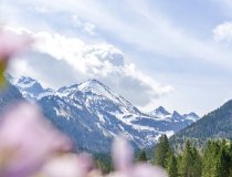 Frühling in Einödsbach 
