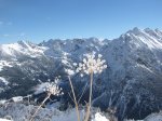 Winterzauber