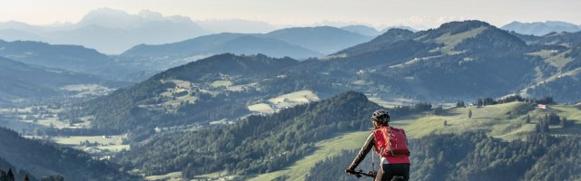 AdobeStock┬®Uwe 355913414