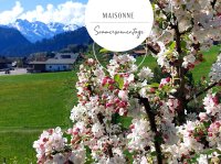 Maisonne