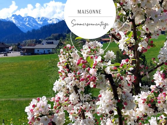Maisonne