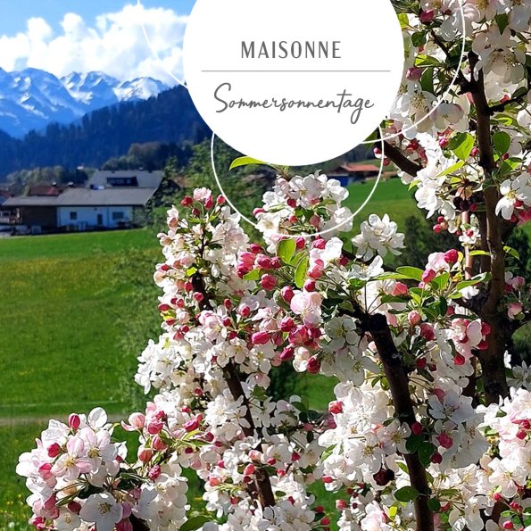 Maisonne
