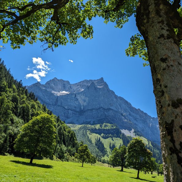 Eine malerische Landschaft zeigt eine grüne Wiese, umgeben von Bergen und Bäumen, an einem sonnigen Tag in den Alpen.