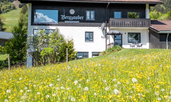 Ein Haus steht in einer Wiese voller Blumen. Berge und blauer Himmel sind im Hintergrund sichtbar.