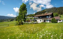 Eine Almwiese mit bunten Blumen und einem Haus. Bäume stehen in der Nähe. Die Sonne scheint auf die Landschaft.