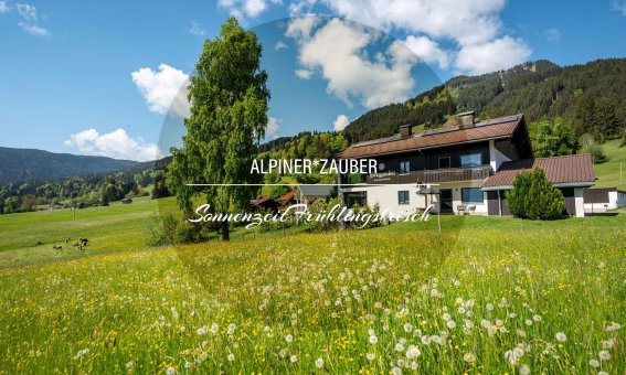 Eine Wiese mit vielen Blumen liegt vor einem Haus in den Alpen. Der Himmel ist blau und die Berge sind im Hintergrund sichtbar.