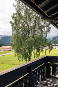 BZ Blütenmeer Balkon - © C. Maier-Vintsch-07