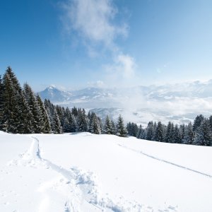 Winterwandern Panorama Ofterschwanger Horn