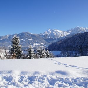 Winter Berwanger Hof Panoramablick