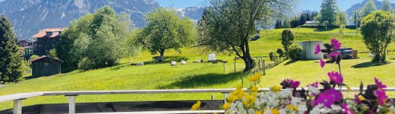 Sommer im Alpenlicht