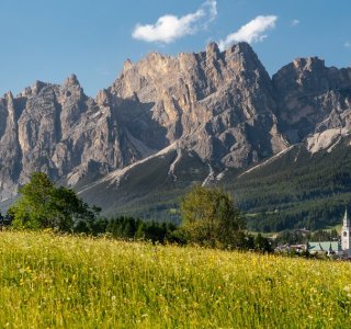 Cortina Summer Impressions 1