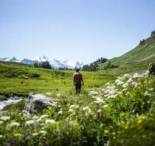Crans Montana Summer Impressions 3