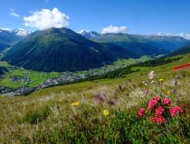 Davos Klosters Summer Impressions 1