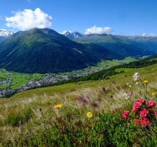 Davos Klosters Summer Impressions 1