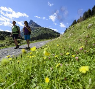 Sankt Anton am Arlberg Summer Impressions 4