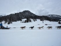 Megeve Dogsledding 4