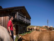 Megeve Happy Cows 11