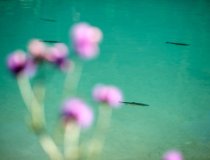 Lech Zürs am Arlberg Fischteich   2