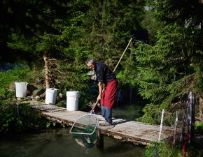 Lech Zürs am Arlberg Fischteich   7