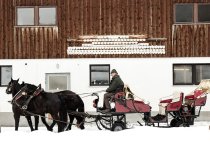 Lech Zürs am Arlberg Kutschenfahrt      1