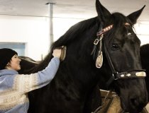 Lech Zürs am Arlberg Kutschenfahrt      11