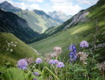 Lech Zürs am Arlberg Yoga             6