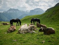 Lech Zürs am Arlberg Medicinicum                4