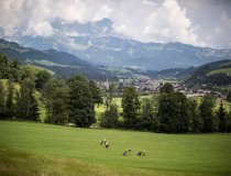 Kitzbühel Golf  8