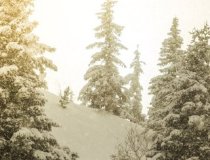 Kitzbühel Freeskiing    9