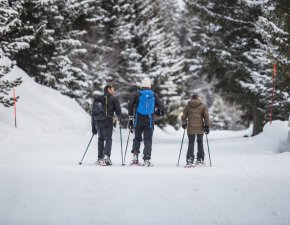 Crans MontanaNach in den Bergen 1