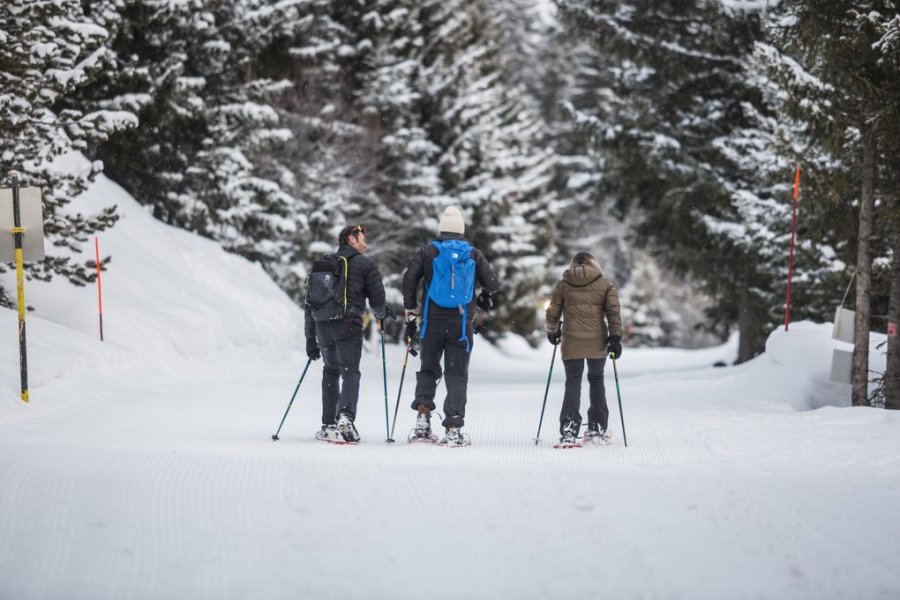 Crans MontanaNach in den Bergen 1