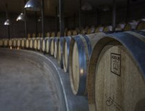 Crans Montana Vine 5