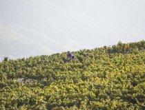 Crans Montana Bike   4