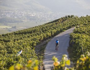 Crans Montana Bike   1